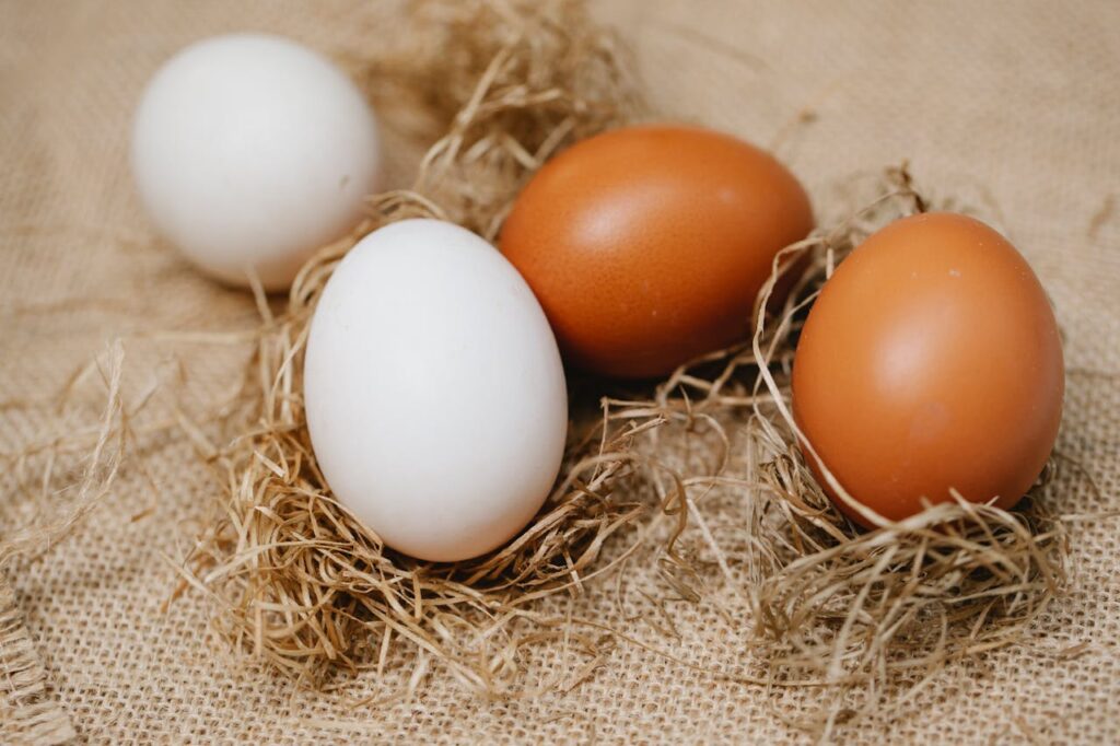 Chicken eggs among straw on table